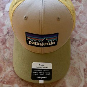 Patagonia Trucker Hat